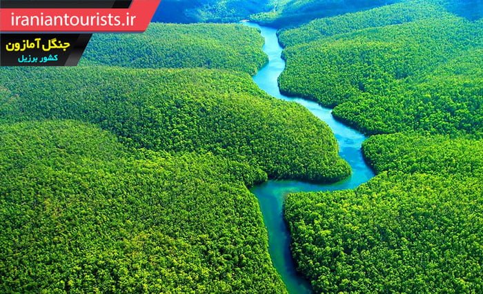 جنگل آمازون بزرگترین جنگل کره زمین