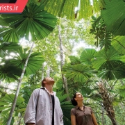بازدید گردشگران از جنگل های بارانی دینتری