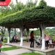 نمایشگاه باغبانی شهر شیامن در تاریخ 11آوریل سال جاری